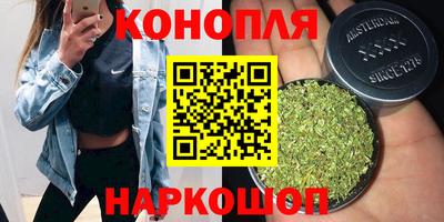 шишки Беслан