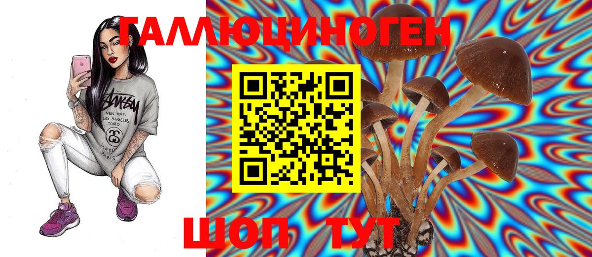 Киров  продажа наркотиков  Вход с VPN  Псилоцибиновые грибы Magic Shrooms 