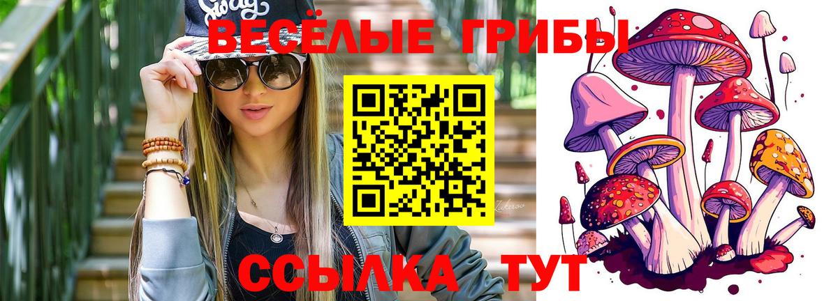 Галлюциногенные грибы MAGIC MUSHROOMS Киров